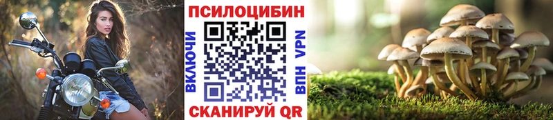 Галлюциногенные грибы MAGIC MUSHROOMS  Чистополь 